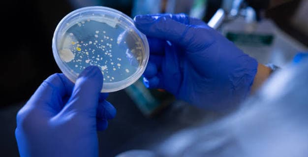Mikrobiologik